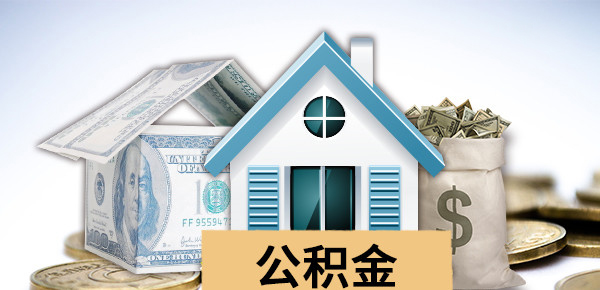 临沧市公安局杨金宝被纪律调查